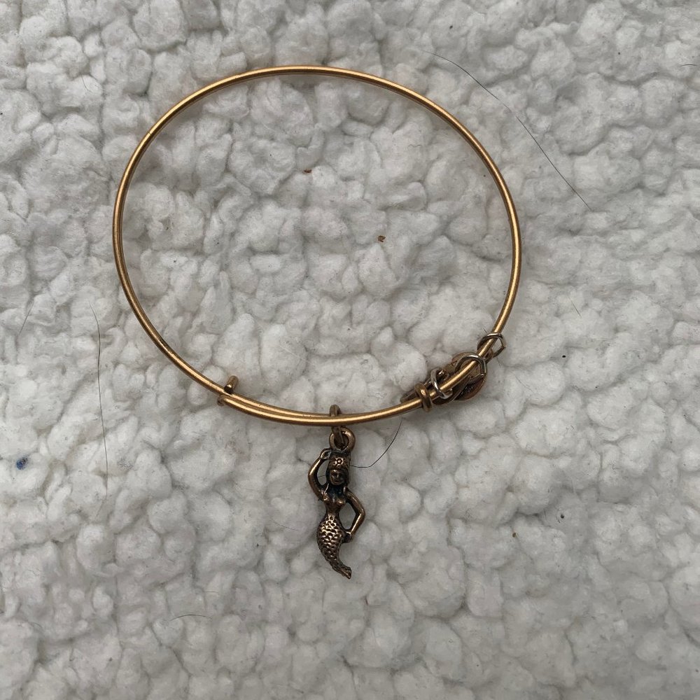 ALEX AND ANI